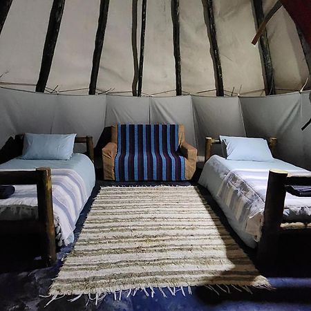 Tsitsikamma Wolf Sanctuary Eco Cabins & Teepees Stormsrivier Zewnętrze zdjęcie