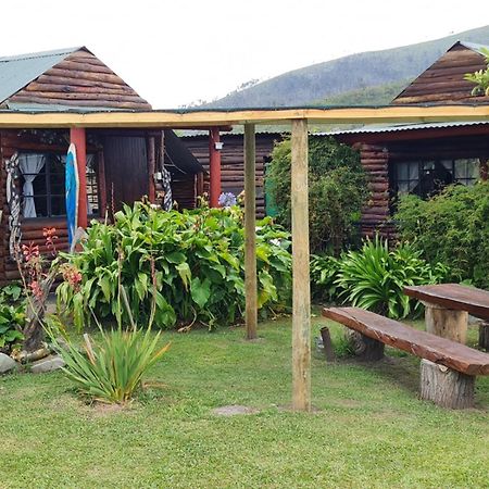 Tsitsikamma Wolf Sanctuary Eco Cabins & Teepees Stormsrivier Zewnętrze zdjęcie