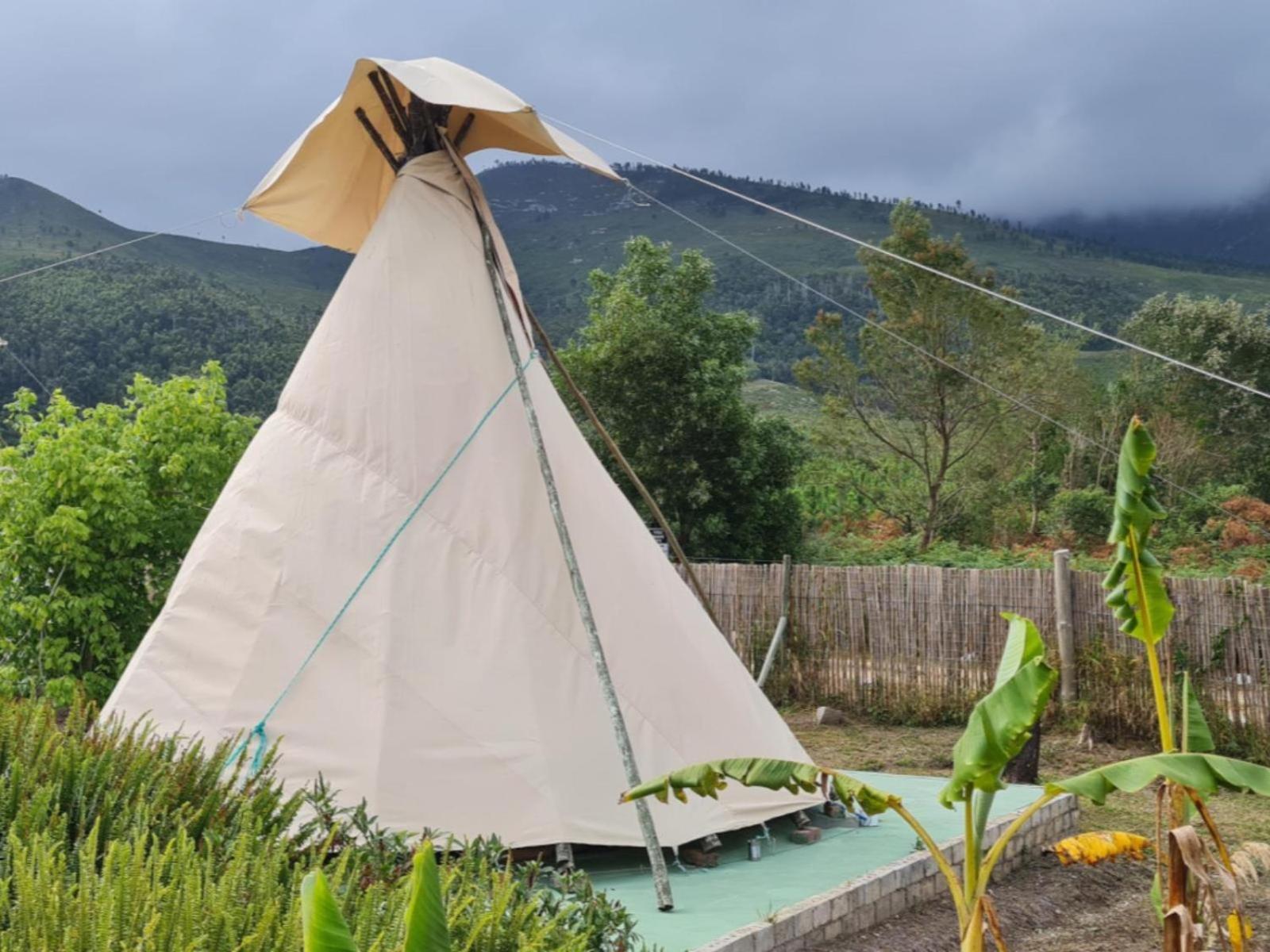 Tsitsikamma Wolf Sanctuary Eco Cabins & Teepees Stormsrivier Zewnętrze zdjęcie