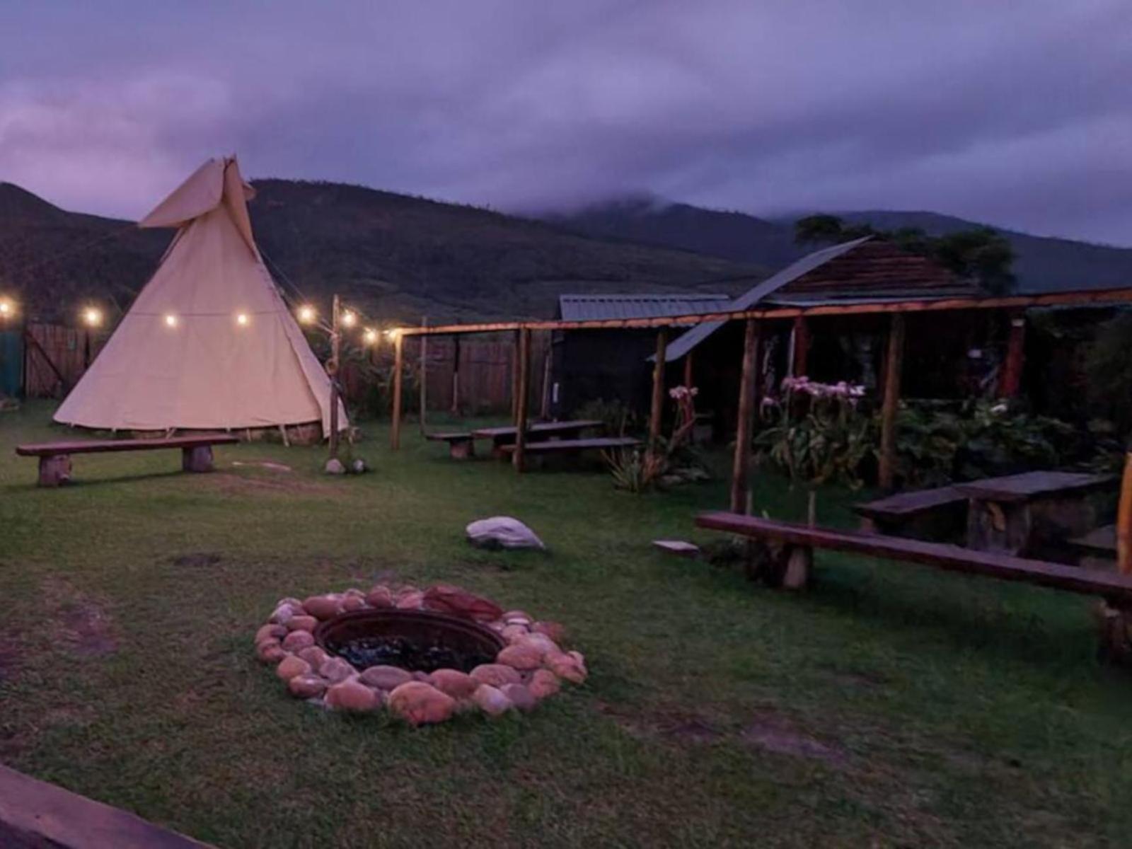 Tsitsikamma Wolf Sanctuary Eco Cabins & Teepees Stormsrivier Zewnętrze zdjęcie