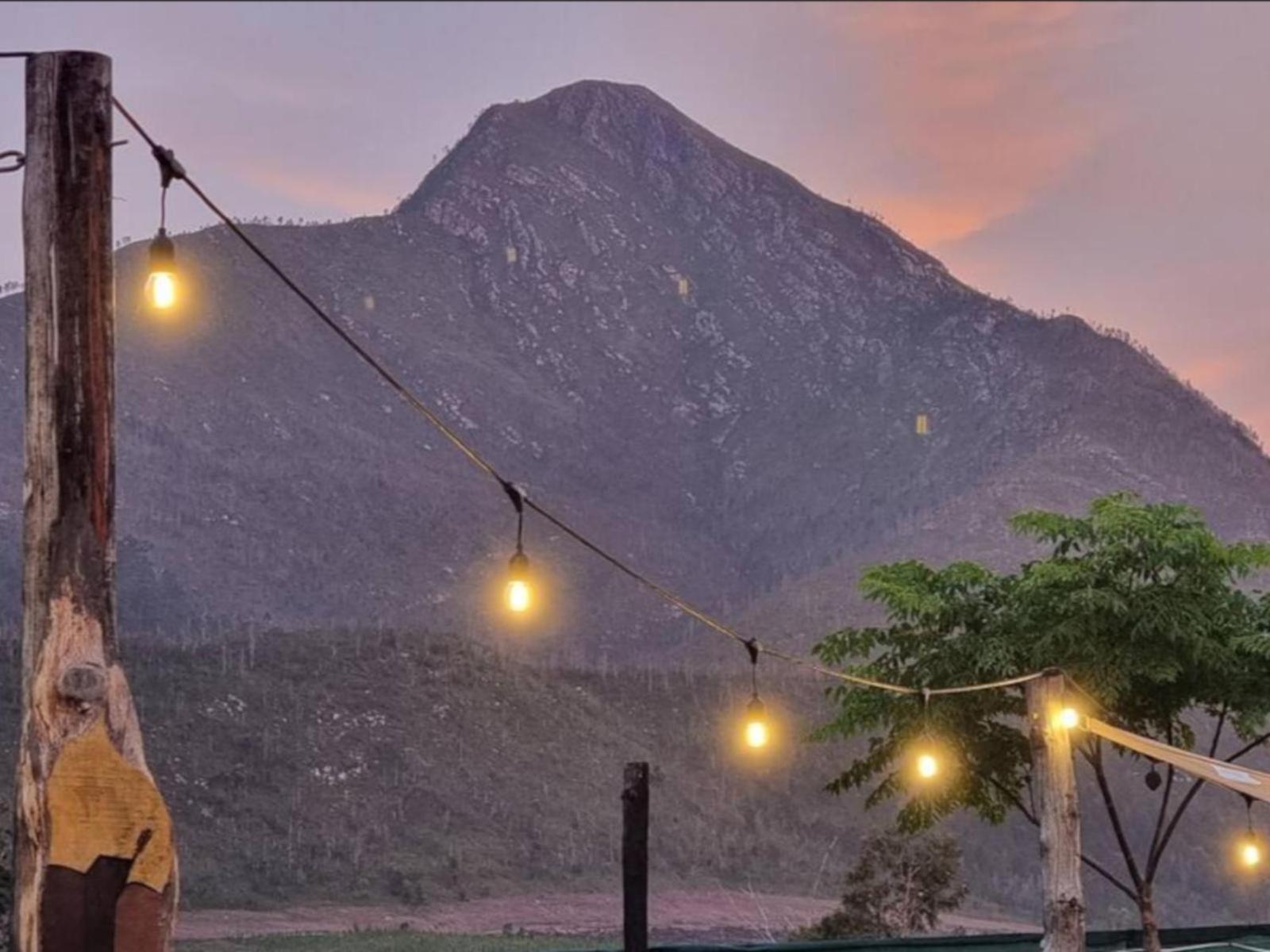 Tsitsikamma Wolf Sanctuary Eco Cabins & Teepees Stormsrivier Zewnętrze zdjęcie