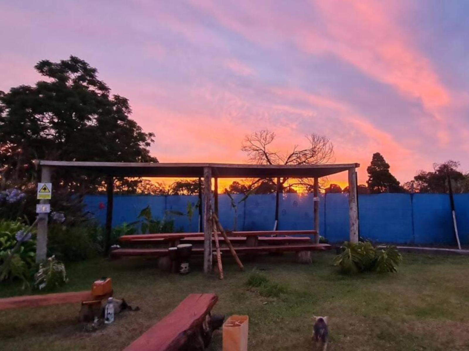 Tsitsikamma Wolf Sanctuary Eco Cabins & Teepees Stormsrivier Zewnętrze zdjęcie