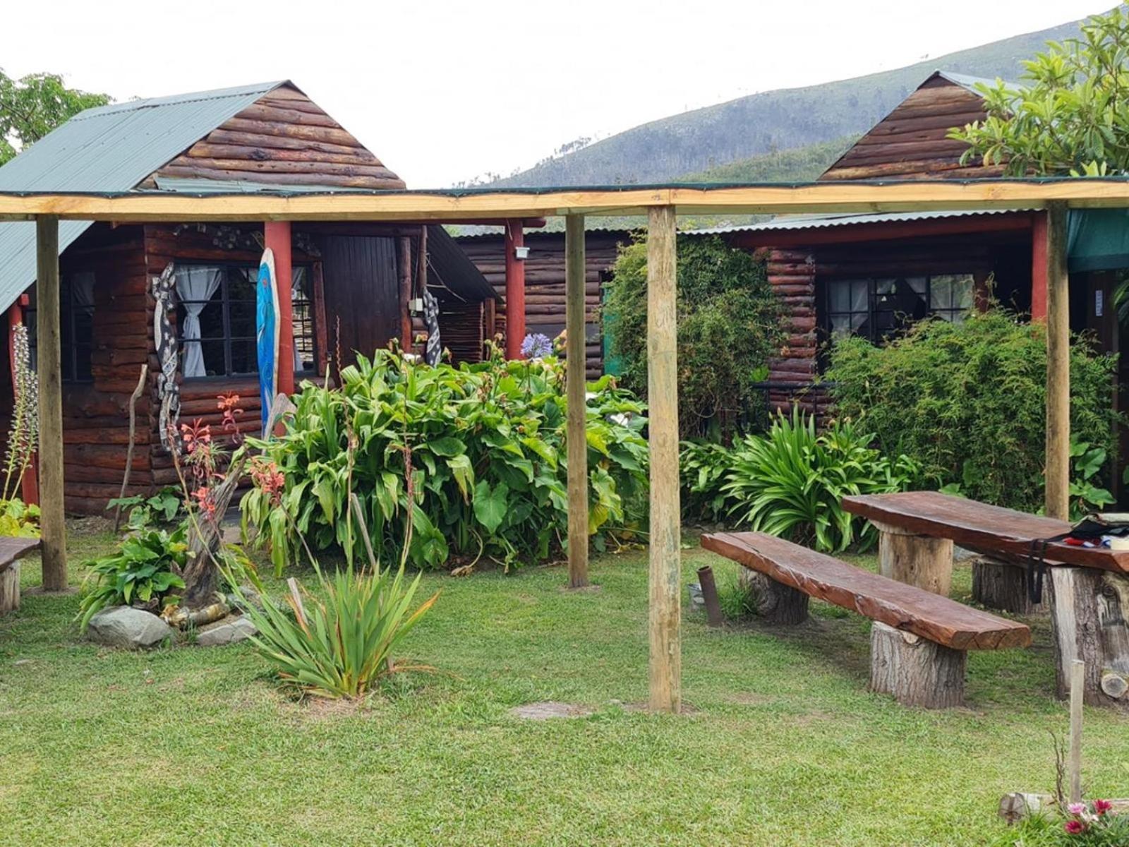 Tsitsikamma Wolf Sanctuary Eco Cabins & Teepees Stormsrivier Zewnętrze zdjęcie