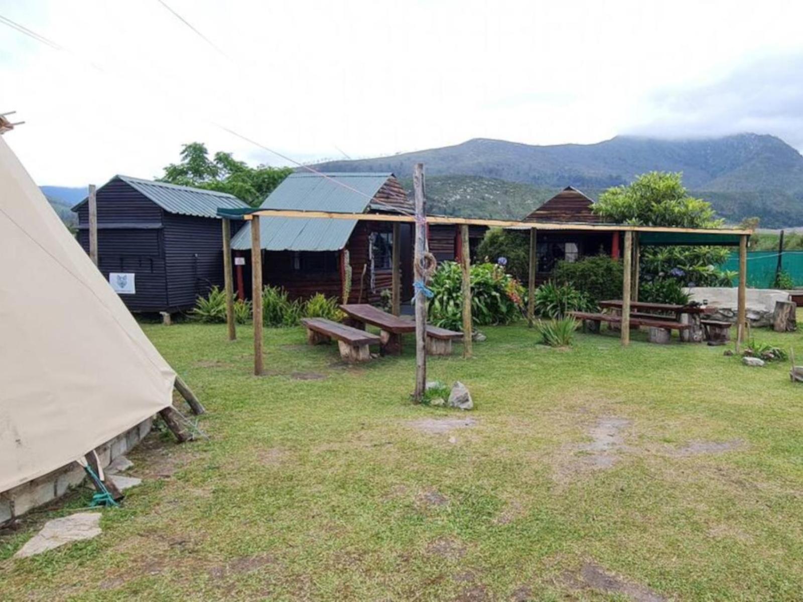Tsitsikamma Wolf Sanctuary Eco Cabins & Teepees Stormsrivier Zewnętrze zdjęcie