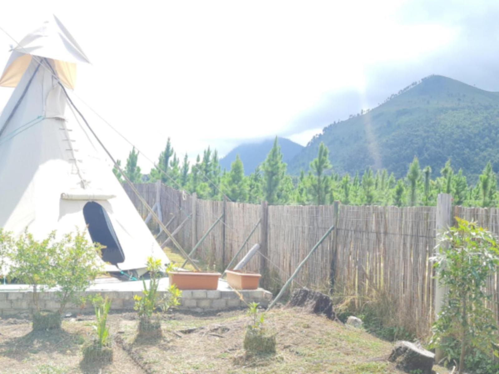 Tsitsikamma Wolf Sanctuary Eco Cabins & Teepees Stormsrivier Pokój zdjęcie