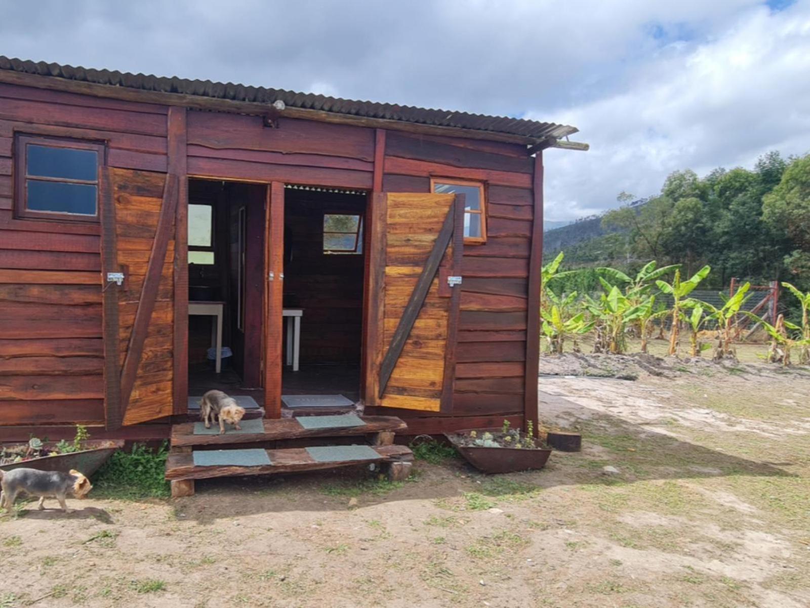 Tsitsikamma Wolf Sanctuary Eco Cabins & Teepees Stormsrivier Pokój zdjęcie
