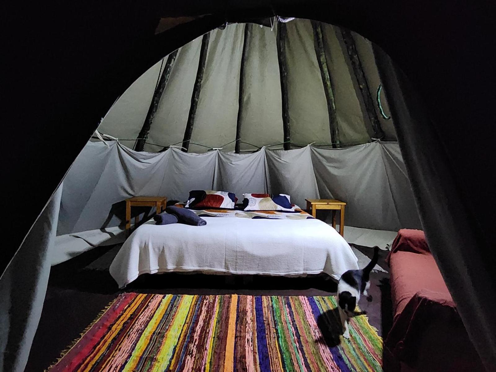 Tsitsikamma Wolf Sanctuary Eco Cabins & Teepees Stormsrivier Pokój zdjęcie